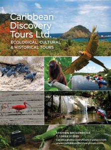 Caribbean Discovery Tours