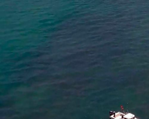 CSA Ocean Sciences Inc. Successfully and Safely Completes 2020 Coastal Field Season in Florida