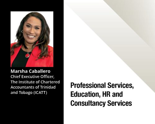 Beyond the Numbers: Accounting for T&T’s Impact